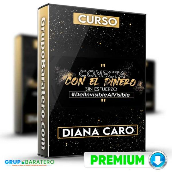 Curso Conecta con el Dinero sin Esfuerzo Diana Caro Cover GrupoBaratero 3D