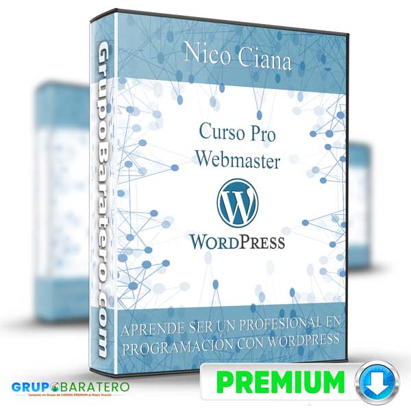 Curso Pro Webmaster WordPress 2
