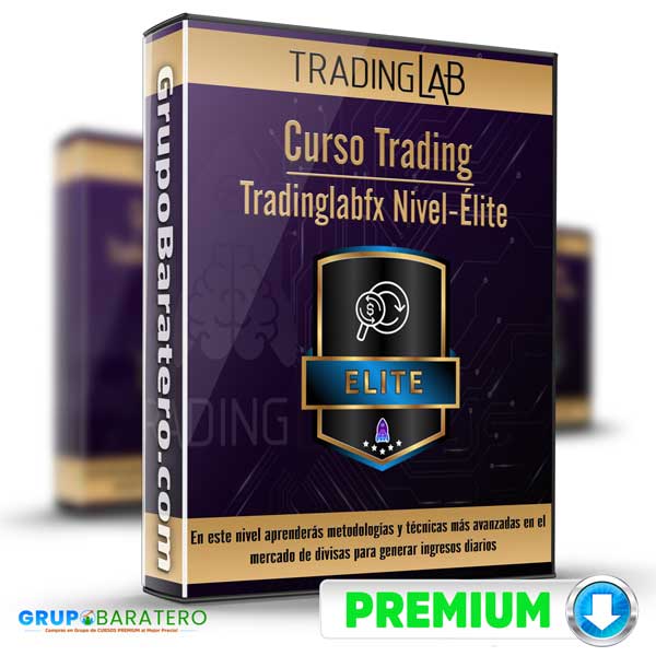 Curso Trading Tradinglabfx Nivel Elite 2