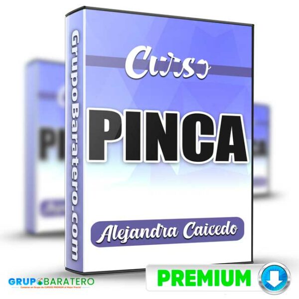 Pinca Alejandra Caicedo Cover GrupoBaratero 3D